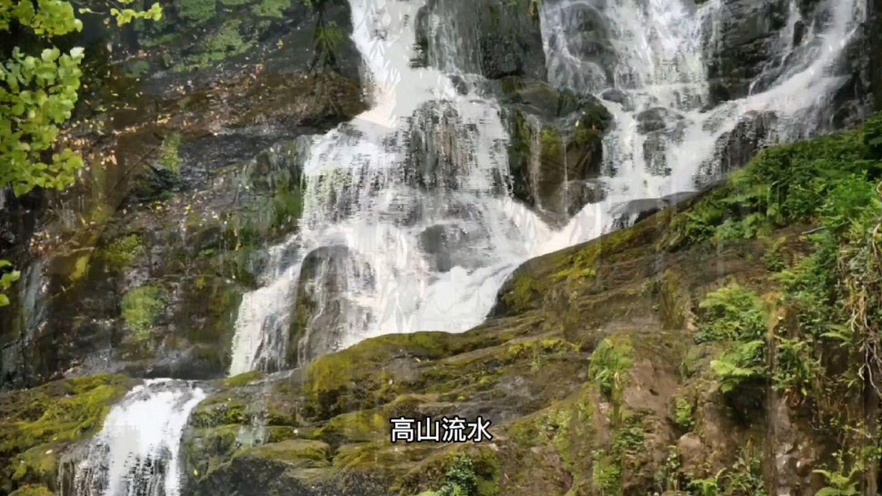 春节气氛渐浓 消费市场升温